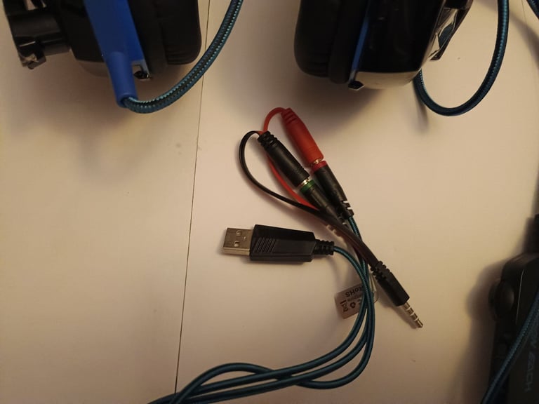 Large Headphones with Microphone 