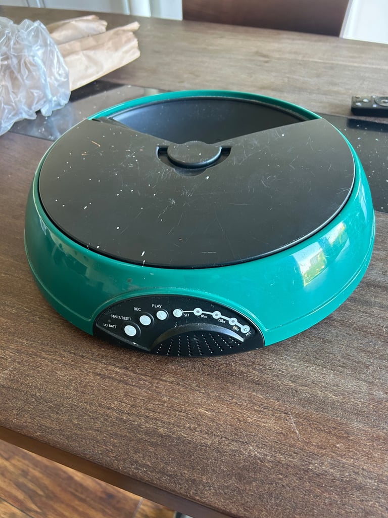Auto cat feeder