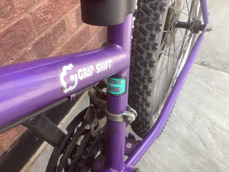 Mountain bike 