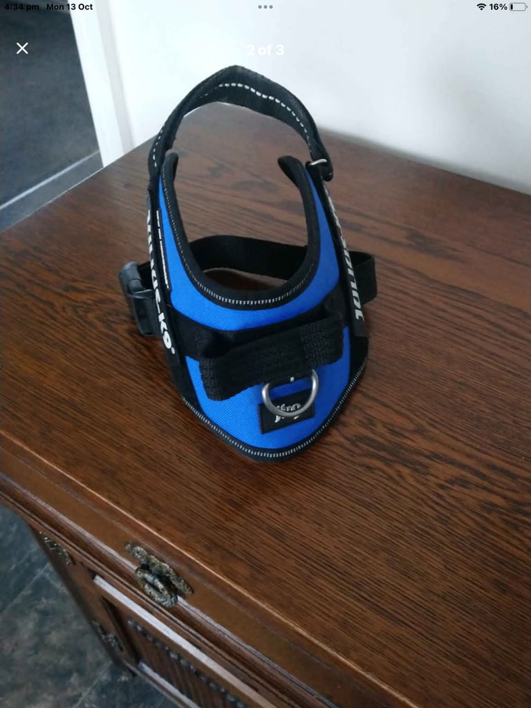 Dog harness fit Coker poo size dog