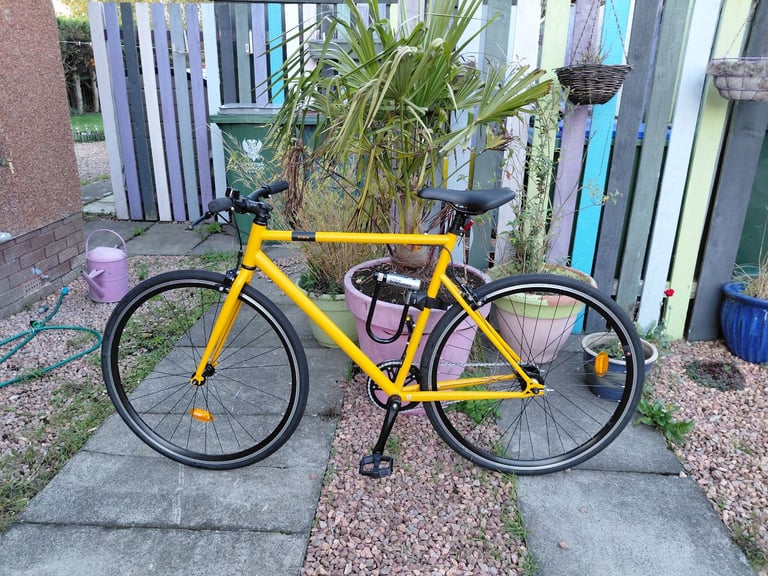 Single speed road bike 