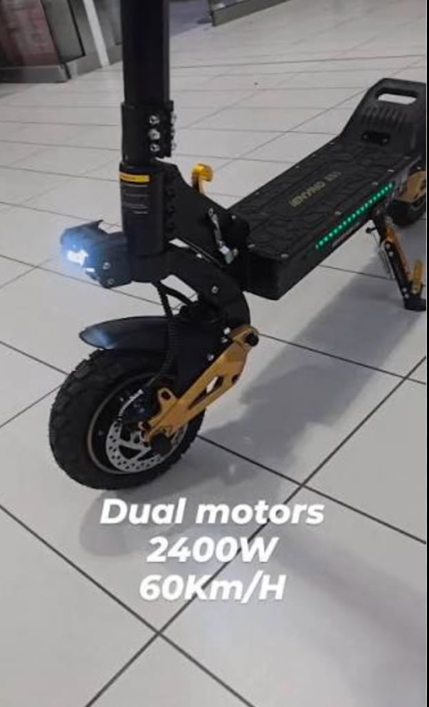 IENYRID ES1 Electric Scooter 250W 48V20.8Ah Dual Motor 10''  E-Scooter for Adult