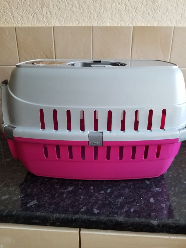 Cat /small dog pet cartier.