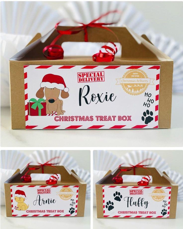 image for Pet treat boxes 