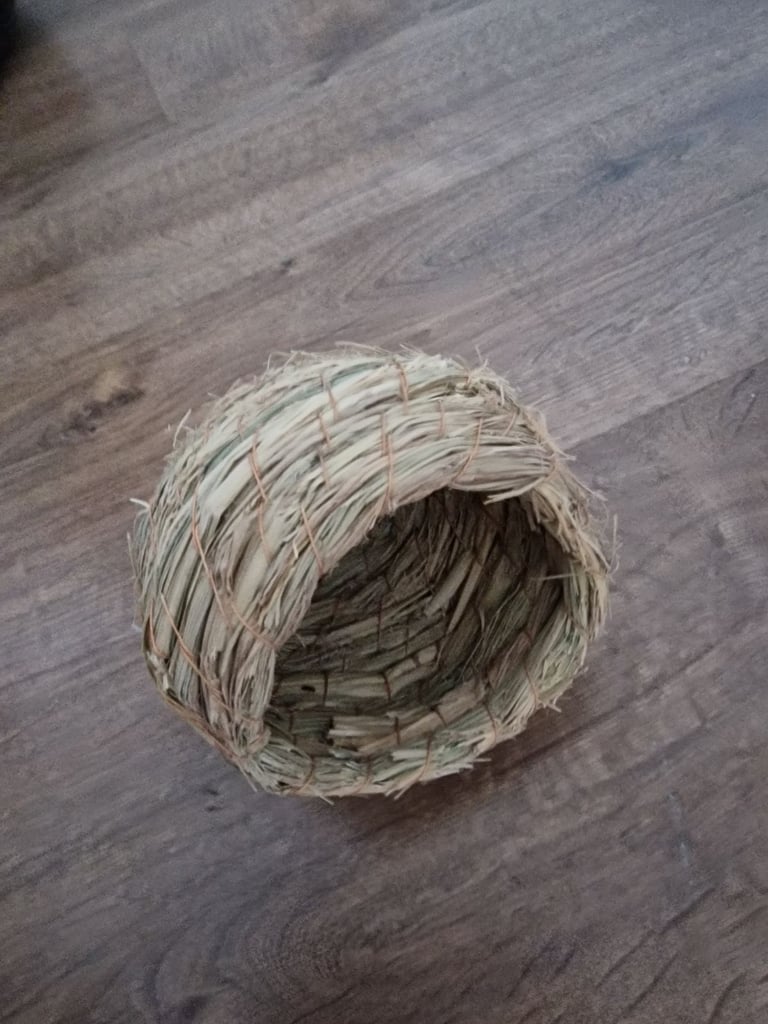 A young lutono cockateil couple. A big cage+£50