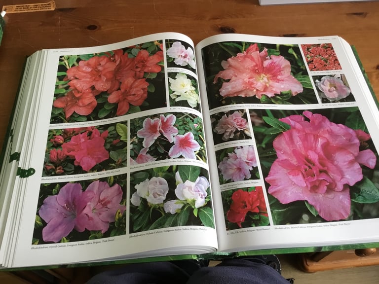 Flora plant excyclopedia two books in storage sleeve