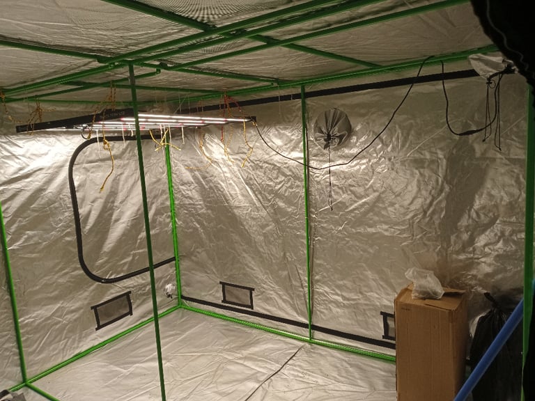 Hydroponics grow tent 