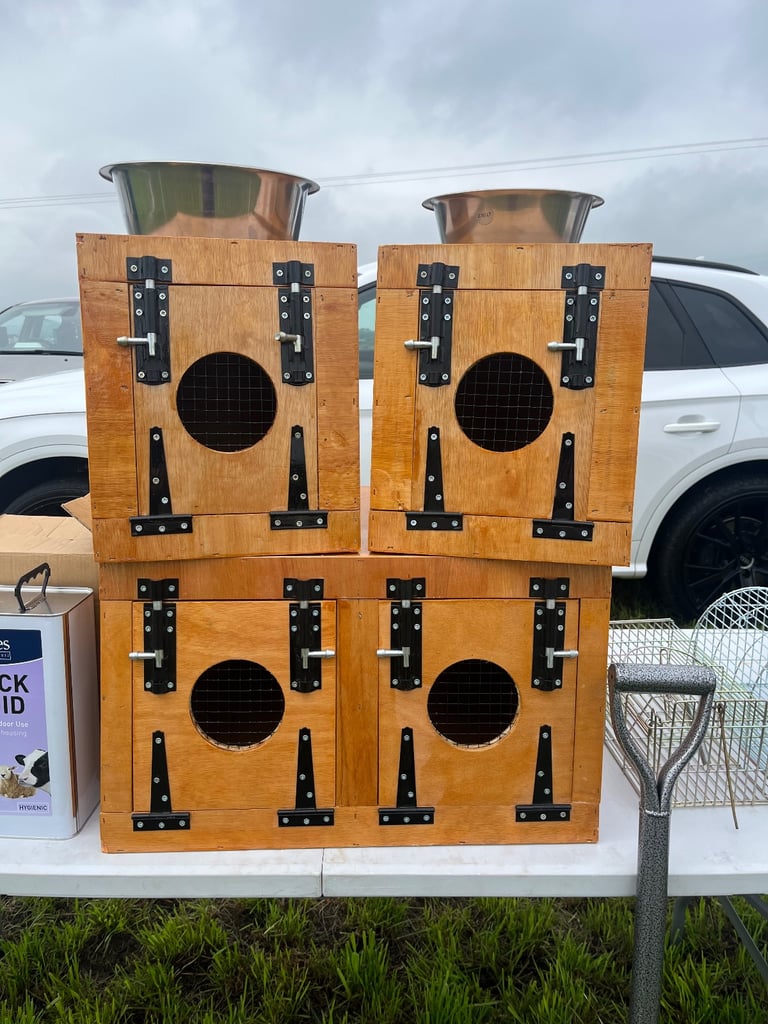 Terrier boxes ( Ferret terrier patterdale Lakeland russles )