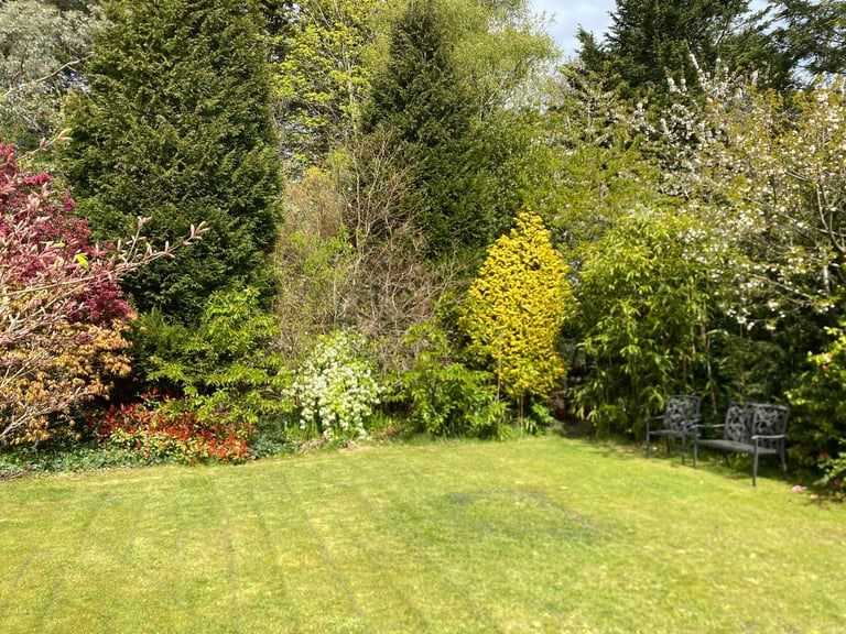 SUPERB 4 BEDROOM, 3 BATHROOM DETACHED HOUSE DORSET/HAMPSHIRE BORDER