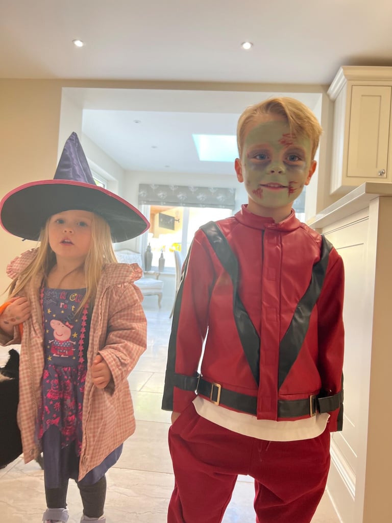 2019 Ford Transit Custom 2.0 EcoBlue 130ps Low Roof Limited Van PANEL VAN DIESEL Manual