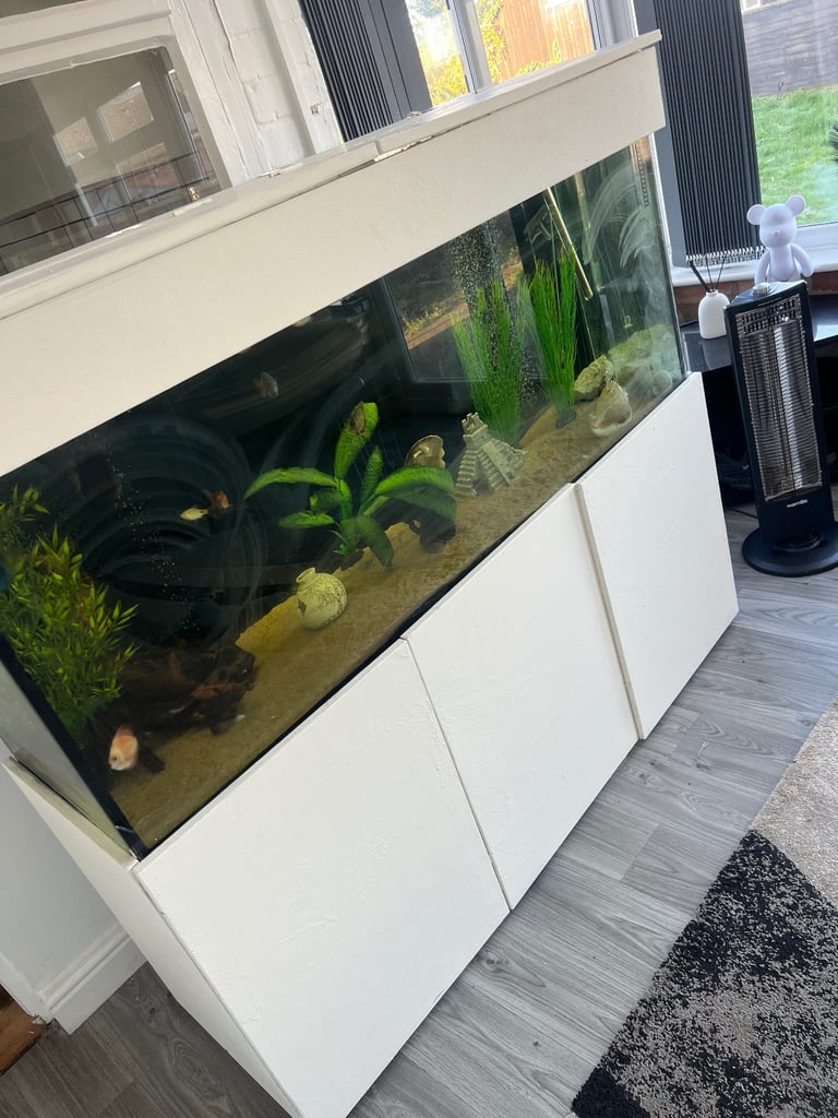 400l fish tank for sale fish included