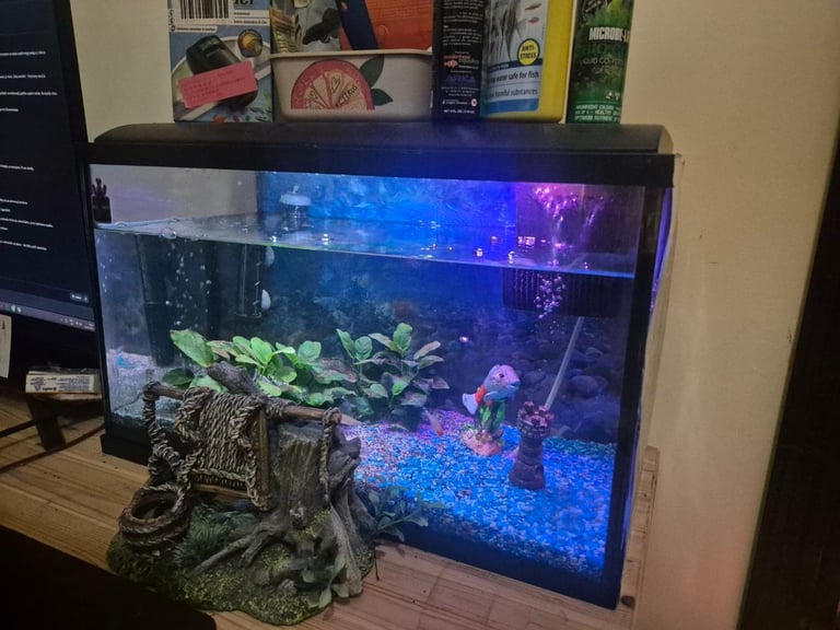 image for Fishtank with few fish