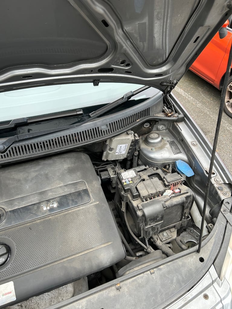 Polo Automatic 2006