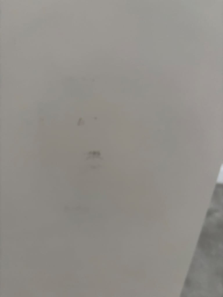 Great Little Trading Company Townhouse bookcase