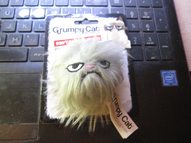 image for Brand new grumpy cat cat toy