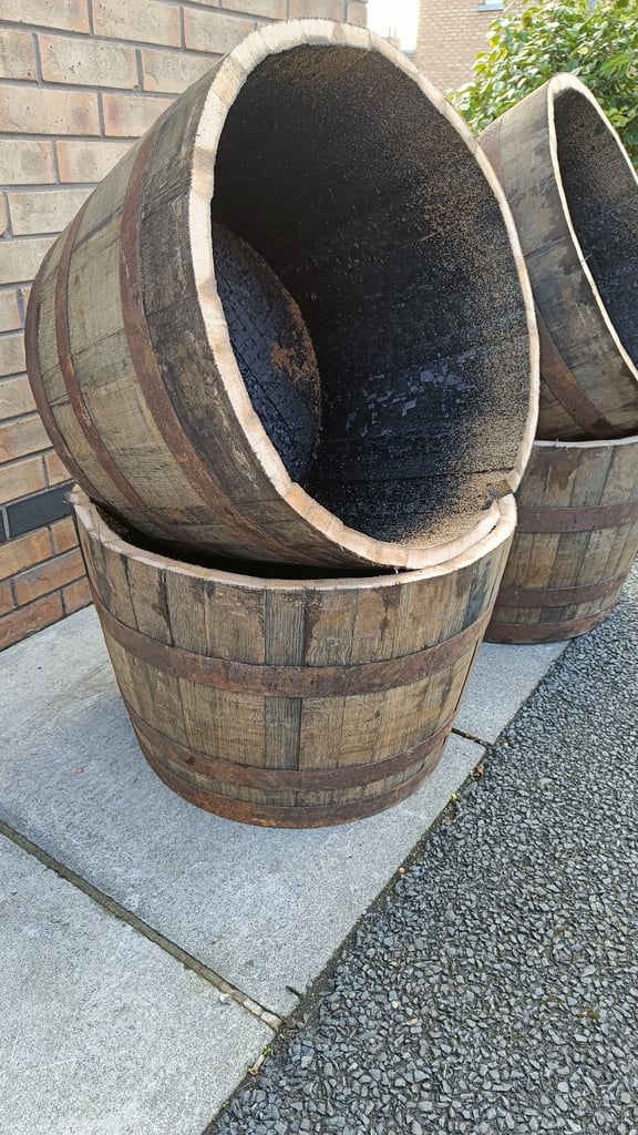 Oak barrel planters £25 each 