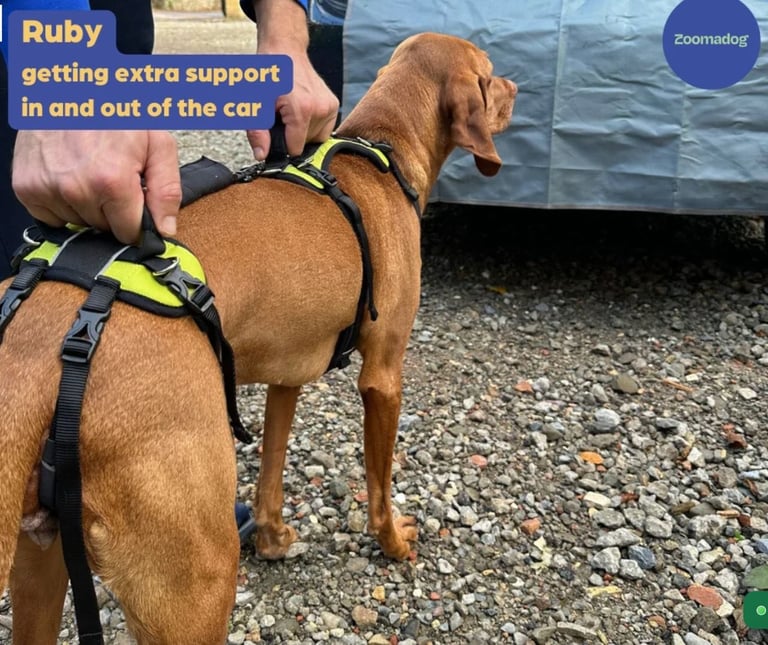 The Help Em Up Harness - The Complete Dog Lifting Harness