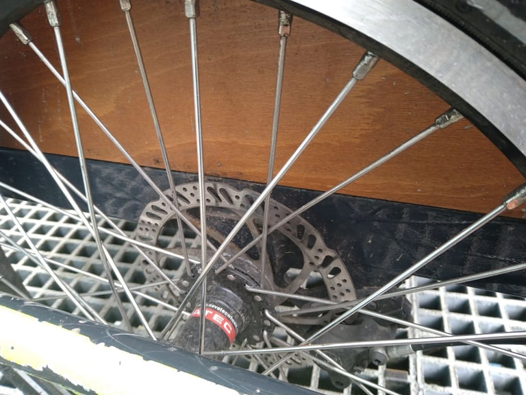 Babboe Curve Mountain cargo tricycle