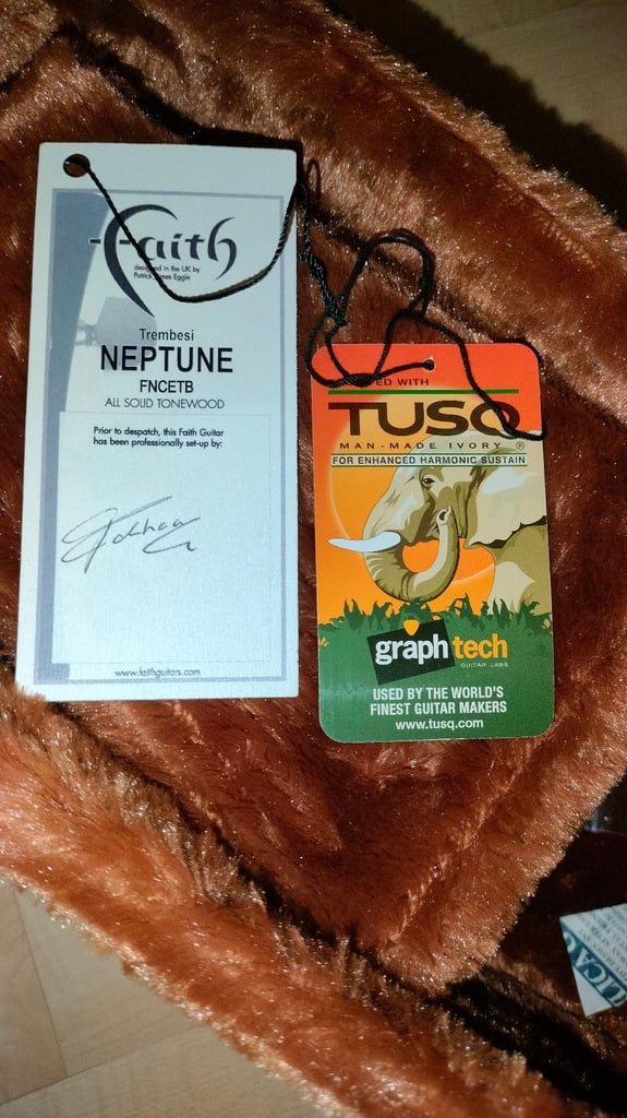 Faith - Guitar and Case Semi Acoustic