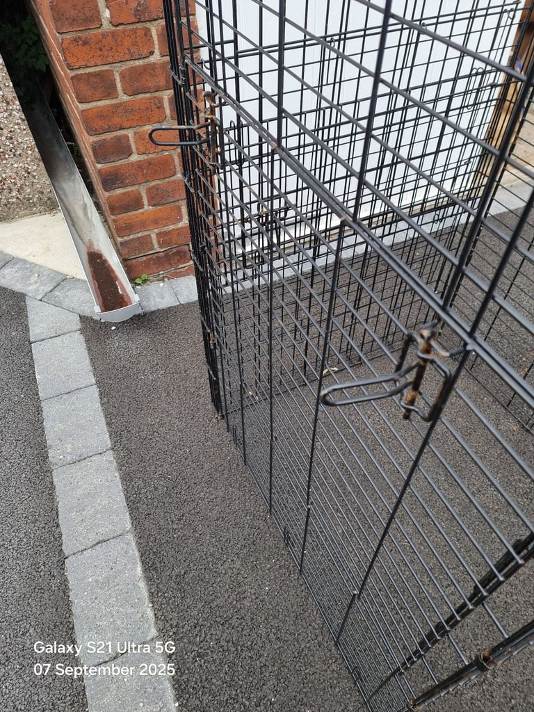Dog Cage
