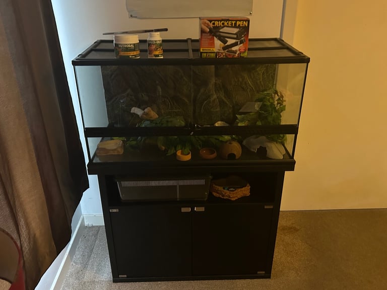 Ultimate Exo Terra Set (Terrarium, Cabinet, Faunarium, Accessories and Decorations). 