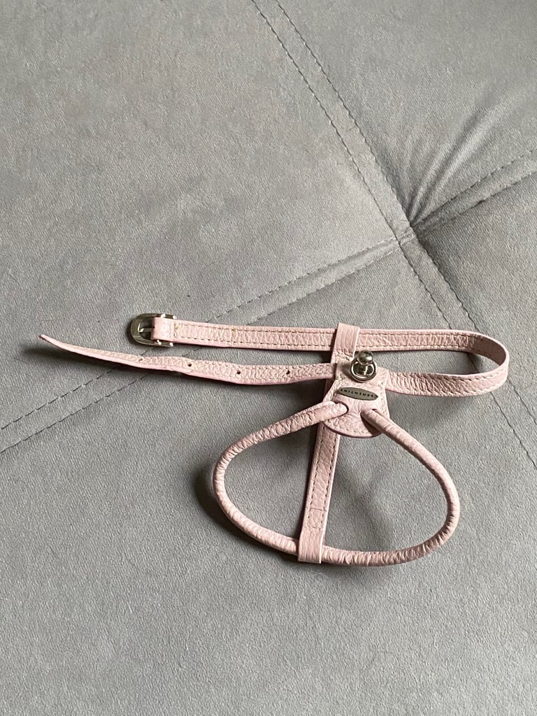 Real leather Clementine dog harness
