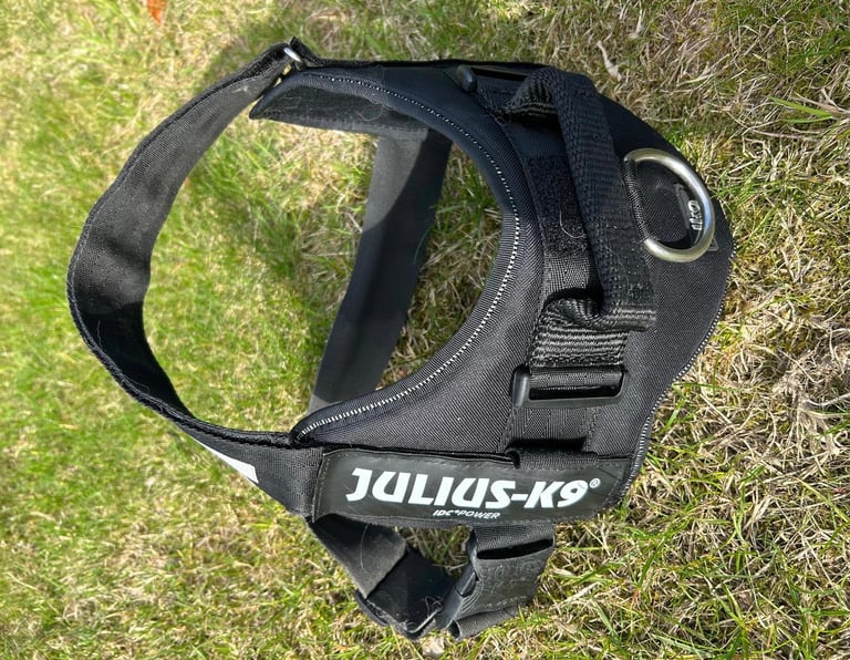 Large Julius-K9 Dog Harness / Collar