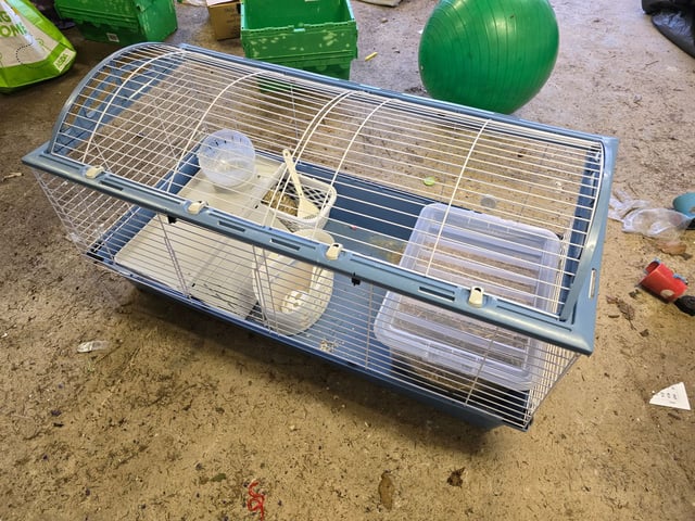 Small Animal Kijiji Rabbit Cage Rabbit Hutch In Newton Mearns