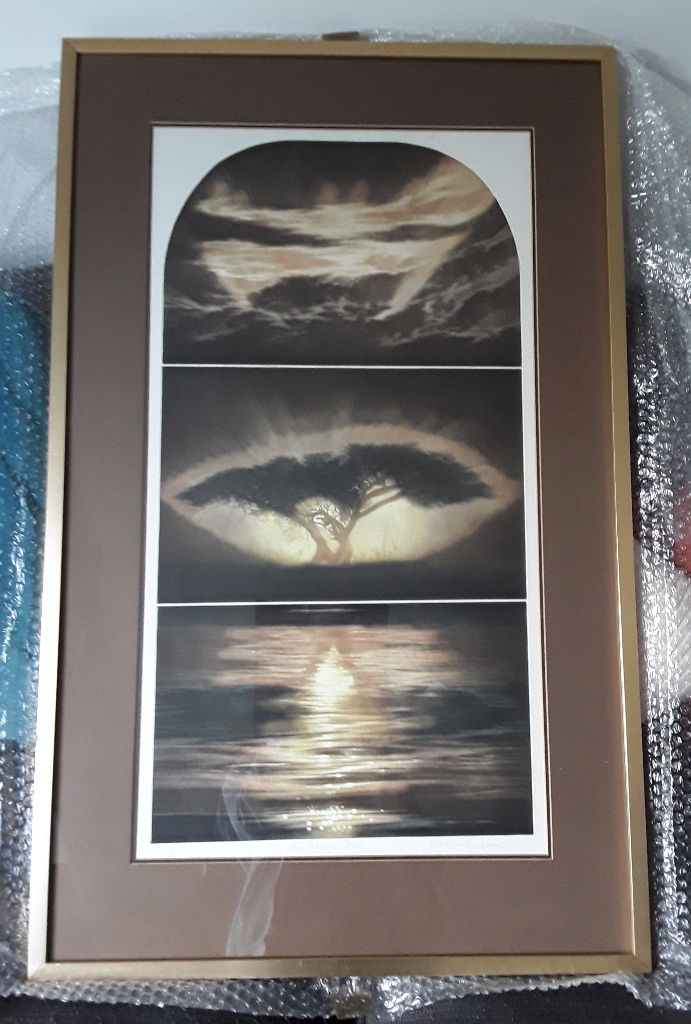 Susan Jameson - 'The Thorn Tree' Framed picture