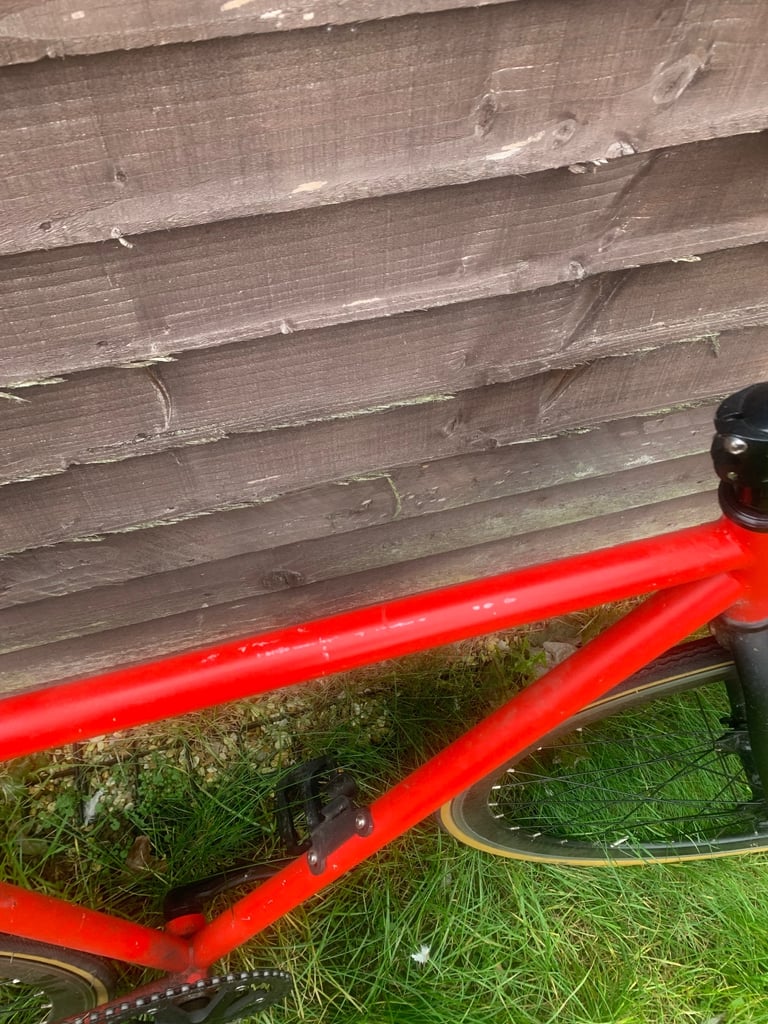 Mango Fixed Gear Bicycle