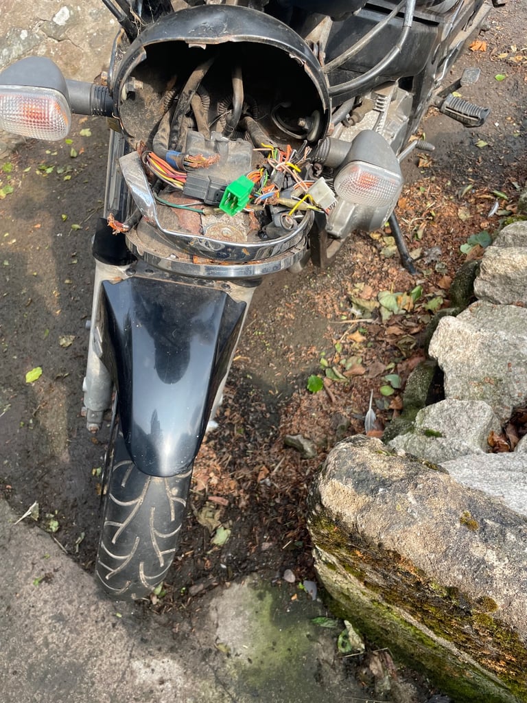 Suzuki, GS, 2008, 487 (cc)