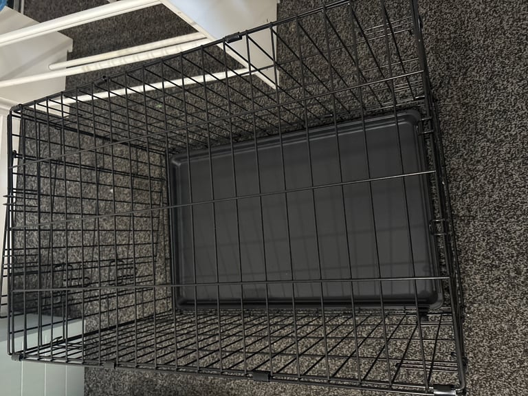 Dogs cage