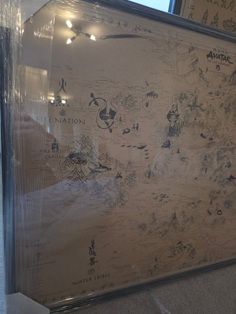 Avatar the last airbender professionally framed artwork