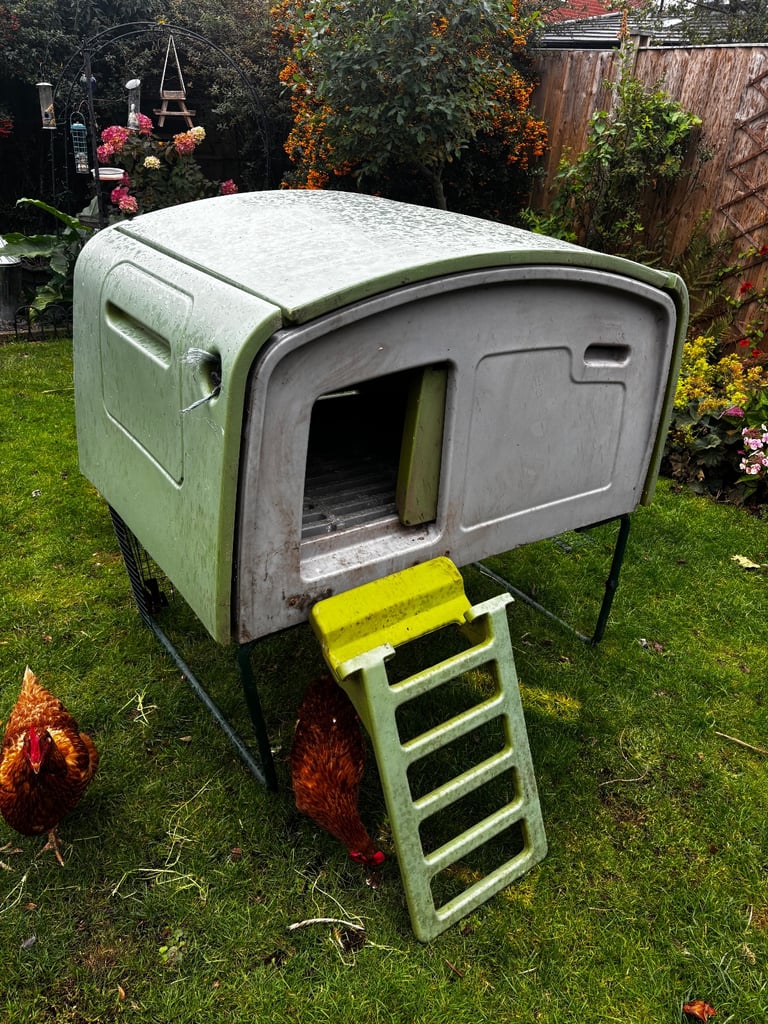 Omlet cube large chicken coop