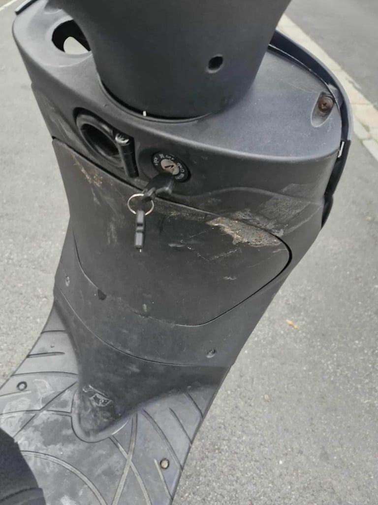 Piaggio, ZIP, 2008, 49 (cc)