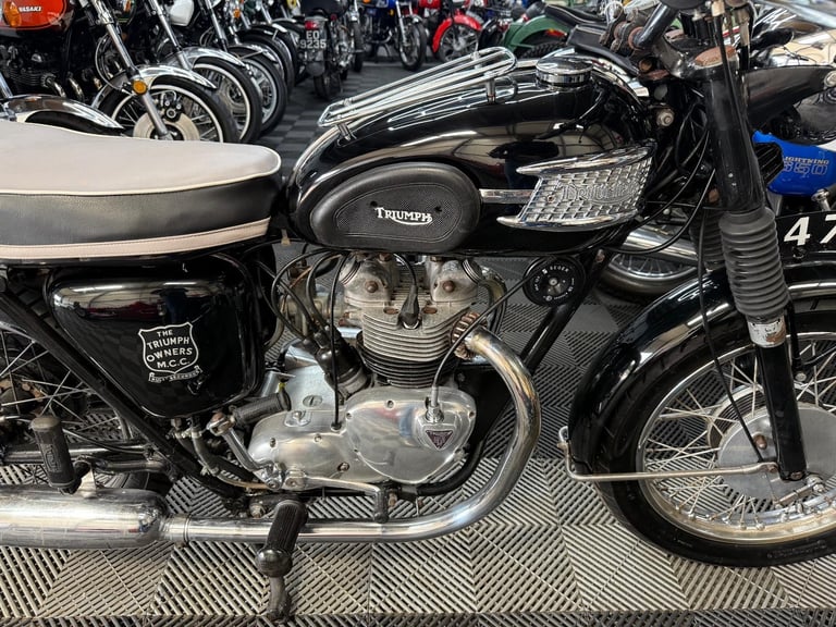 1960 Triumph tiger 100 500cc, lovely useable classic, **TRANSFERABLE REG** 