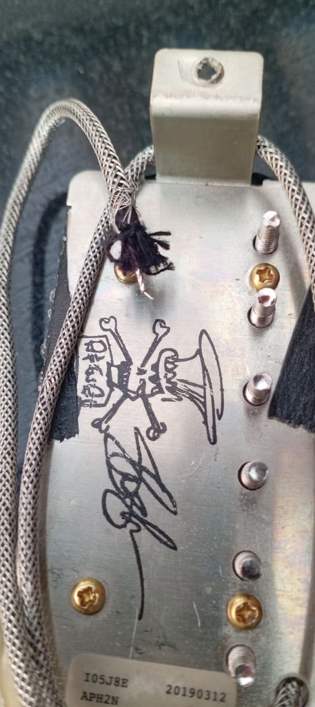Slash guitar pickups