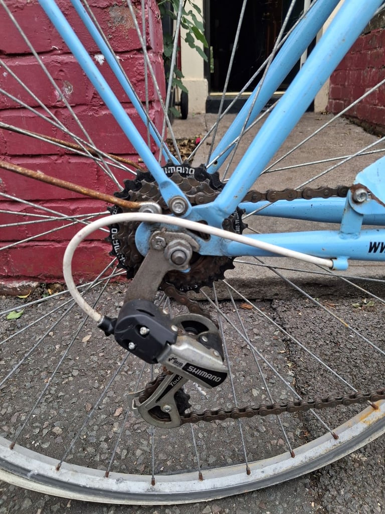 Samson 7 speed vintage. Project bike