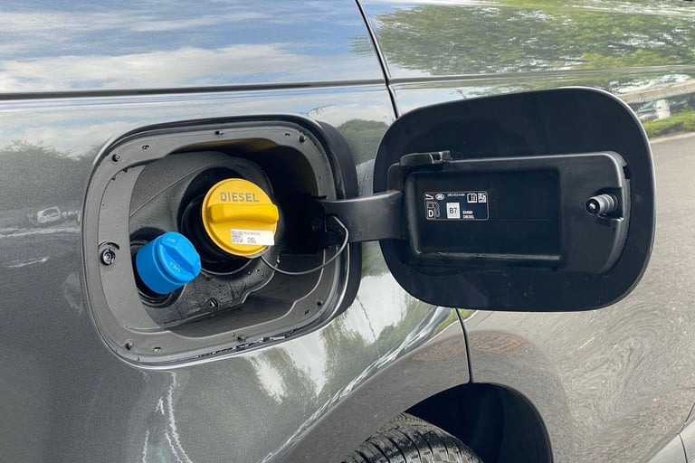 2025 Land Rover Range Rover Sport 3.0 D250 MHEV Edition SUV 5dr Diesel Auto 4WD Euro 6 (s/s) (250...