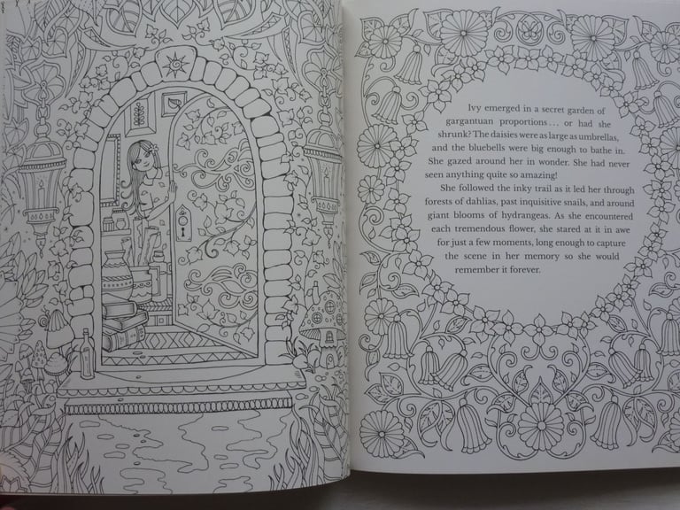 IVY AND THE INKY BUTTERFLY STORY AND COLOURING BOOK
