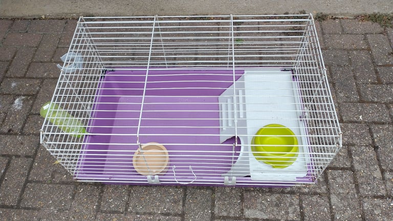 Guinea pig cage
