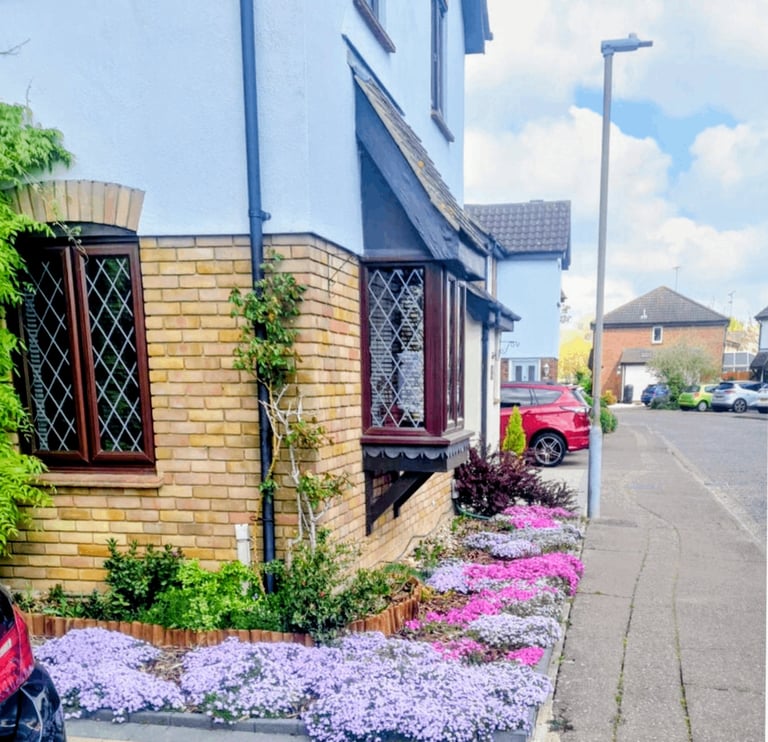 image for Beautiful house