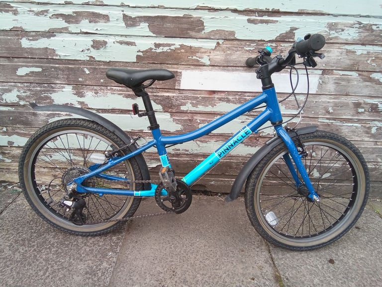 image for Pinnacle Ash Child's Bike 