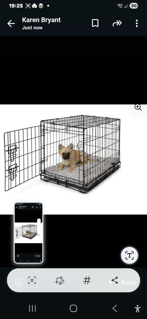 Small cat/dog crate.