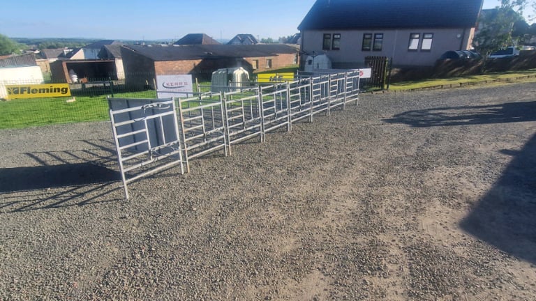 8 x calf rehearing pens with bucket holders farm livestock tractor 