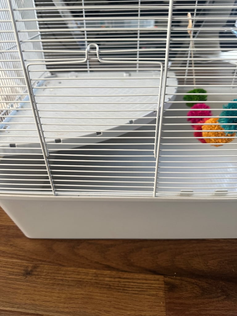 hamster cage 