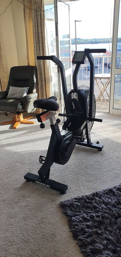 image for Rogue assault bike