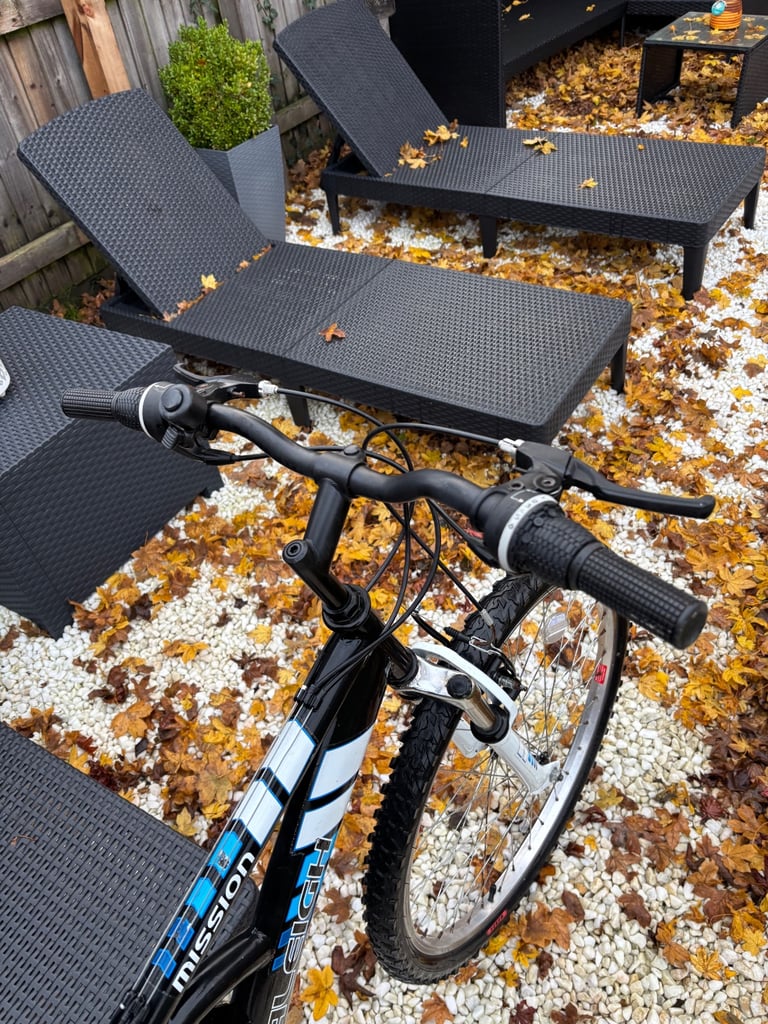 Men’s RALEIGH Dual Suspension Mountain Bike (Great Condition)