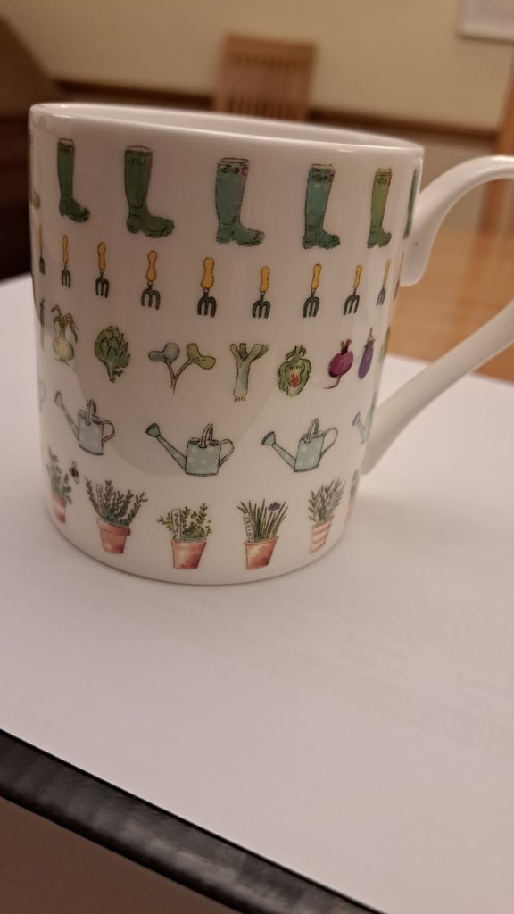 image for Sophie Allport Green Fingers Mug