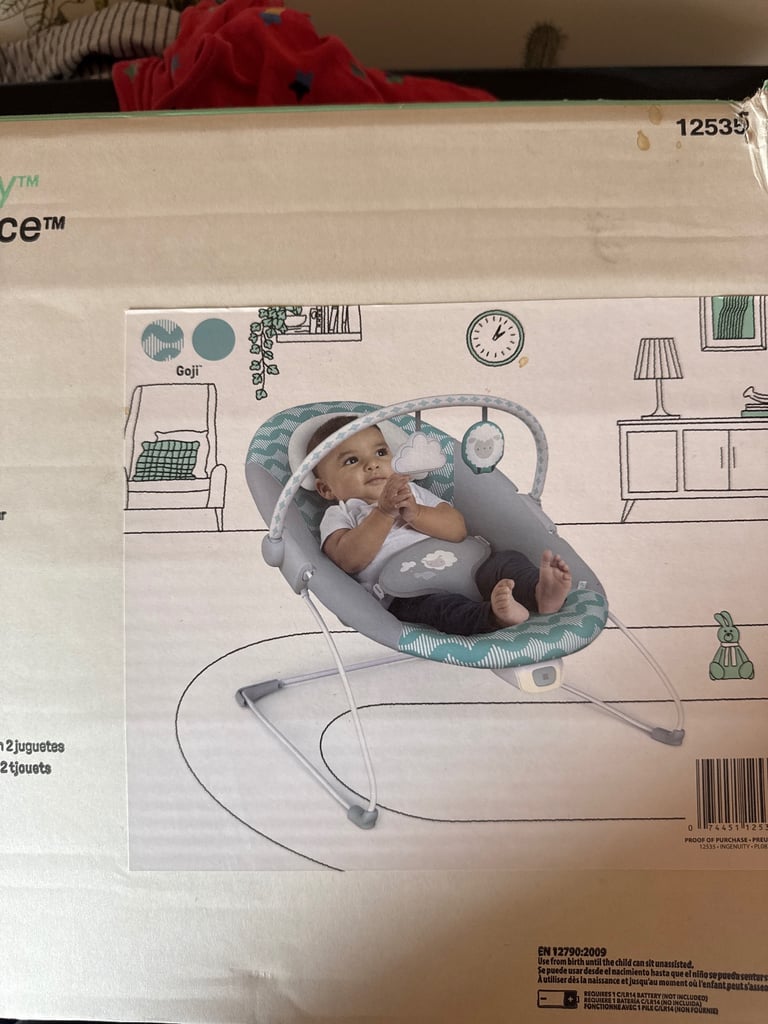 image for Baby bouncy chair